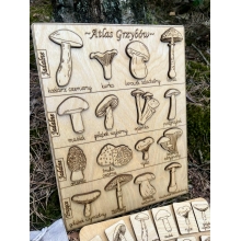 Drewniane Atlasy-układanki